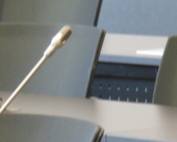 Sitzungen der Ausschüsse fallen aus